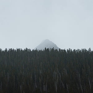 volcano near green trees thumbnail