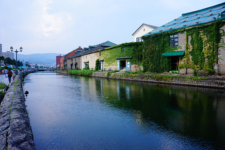houses near river thumbnail