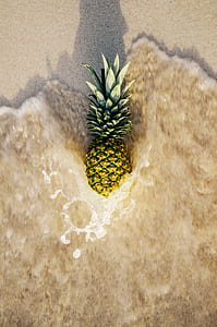 food, sea, beach, sand thumbnail