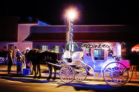 horse carriage near gray building during nighttime thumbnail