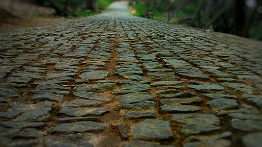 close-up photography of gray concrete pathway during daytime thumbnail