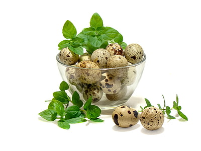 bunch of quail eggs thumbnail