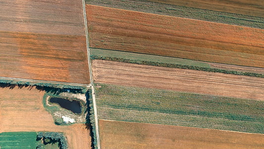 field, agriculture, agricultural land, harvested field thumbnail