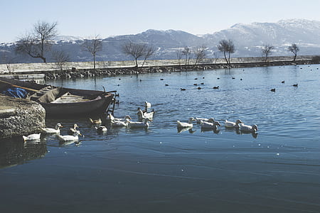 water, boat, lake, river thumbnail