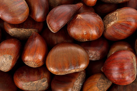 bunch of chestnuts thumbnail