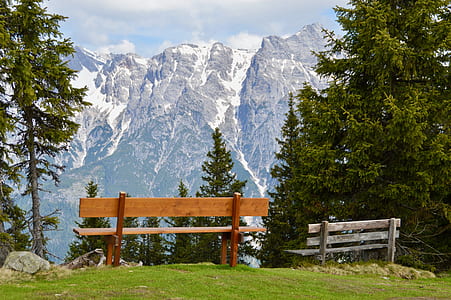 brown wooden bench near green trees during daytime thumbnail