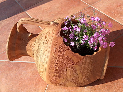 purple petaled flowers in brown clay pot thumbnail
