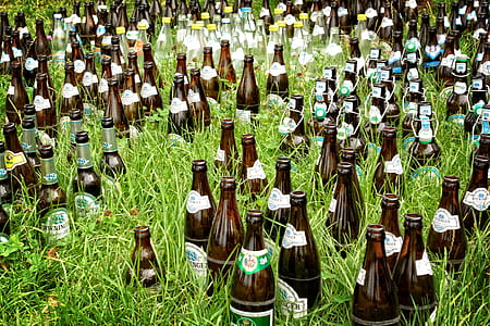 Heineken bottle lot on grass thumbnail