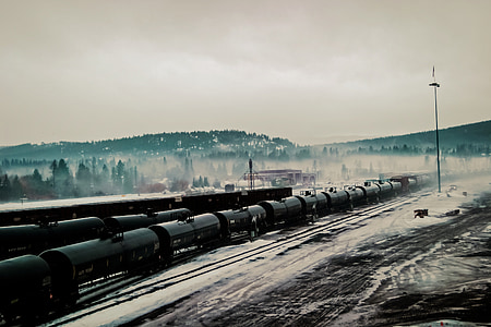 black train near pine trees under white clouds thumbnail