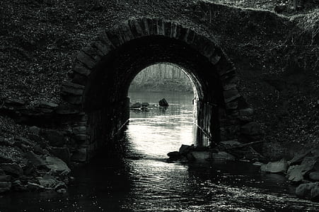 grayscale photo of bridge across body of water thumbnail