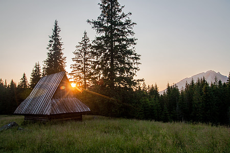 brown wooden cabin in forest field thumbnail