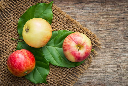 Close-up Photo of Red-and-yellow Apple Fruits on Green Leaves thumbnail