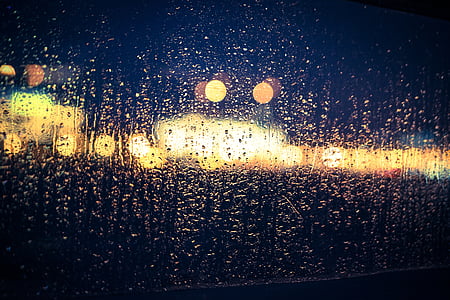 selective focus photography of water drops thumbnail