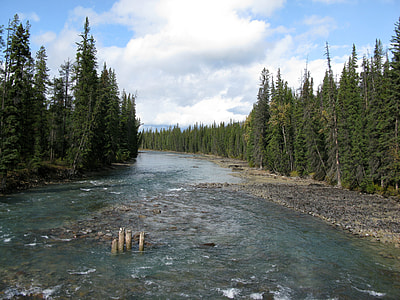 Whirlpool River landscape in Jasper National Park, Alberta, Canada thumbnail