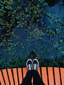 Person Wearing Black Vans Old Skool Sneakers Facing Body of Water thumbnail