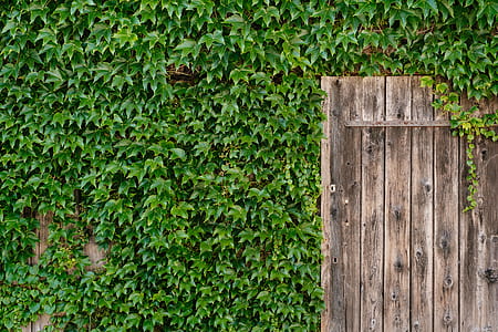 brown wooden wall thumbnail