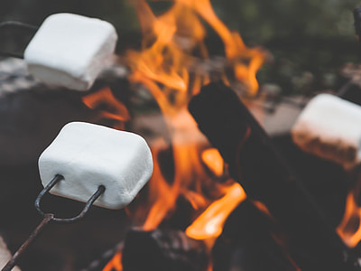 mallows near fire thumbnail
