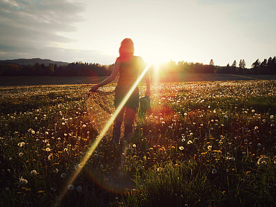silhouette of woman standing on flower field during golden hours thumbnail