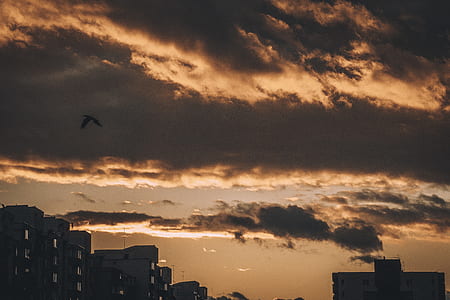 silhouette of high-rise buildings thumbnail