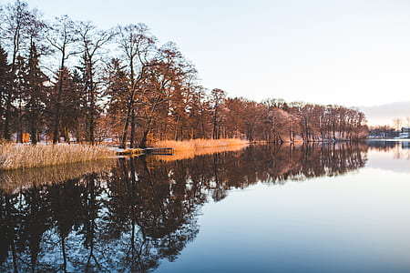 Colorful trees mirroring in the lake thumbnail