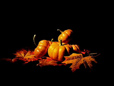 Still life of gourds. thumbnail