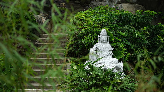 gray Buddha statue surrounded by green leaf plants at daytime thumbnail