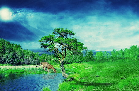 green tree thumbnail