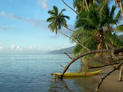 yellow kayak on seashore thumbnail