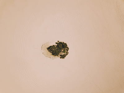 brown stain thumbnail