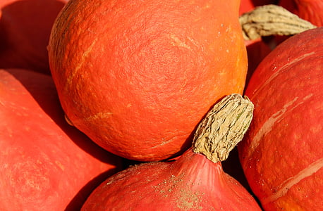 round brown fruits thumbnail