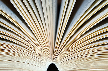 white book thumbnail