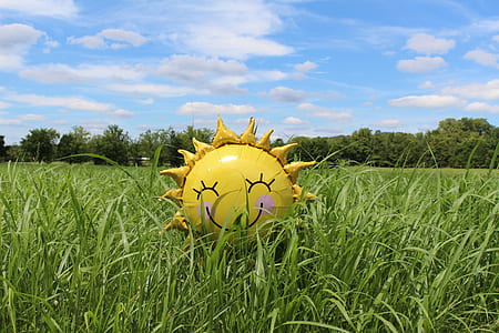 sunflower balloon in the middle of grass field thumbnail
