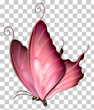 Butterfly Insect Pink Purple , Children elements of butterfly pattern,Cartoon Butterfly Dream, pink butterfly PNG clipart