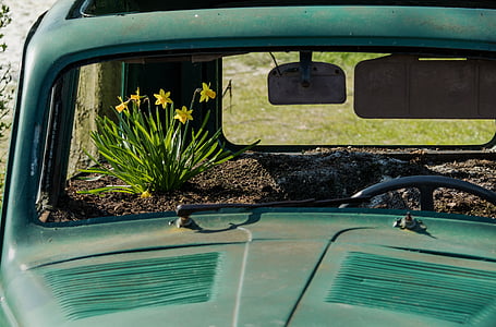 yellow petaled flowers inside green abandoned vehicle thumbnail