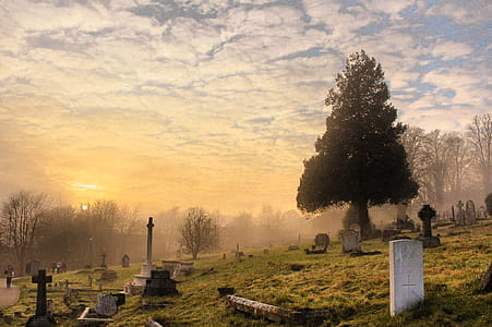 Cemetery Under the Cloudy Sky thumbnail