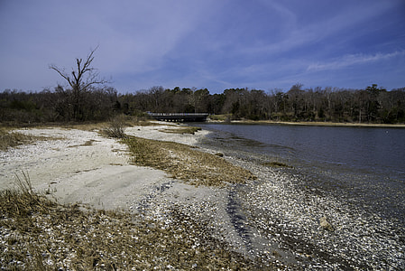 Beach and Coastal Landscape in Yorktown, Virginia thumbnail