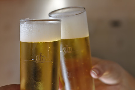 person holding clear beer mugs thumbnail