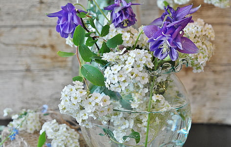purple and white petaled flowers in glass vase in focus photography thumbnail