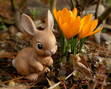 brown rabbit figurine beside orange flowers thumbnail