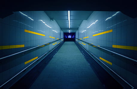 pathway with lighted light thumbnail