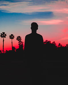 silhoutte of a person in front of palm trees thumbnail