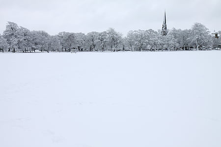 snowy field thumbnail