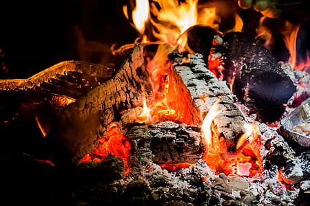 charcoal and wood with fire thumbnail