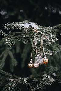 Chic holiday decor thumbnail