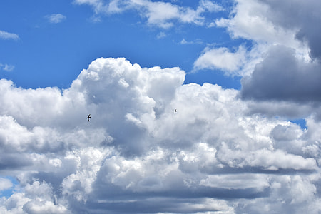 cloudy skies thumbnail