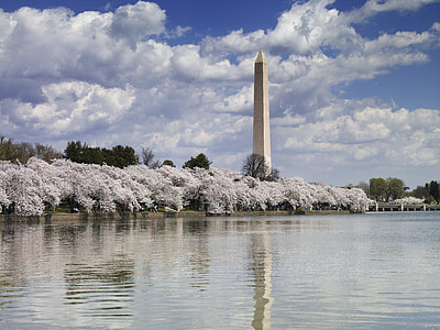 gray obelisk near body of water under cloudy sky thumbnail