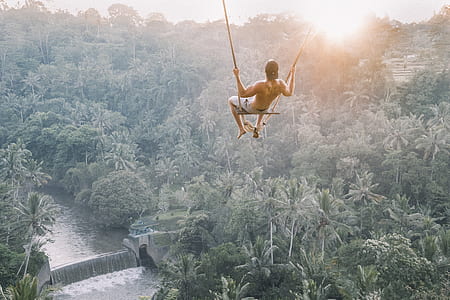 man swinging above forest during daytime thumbnail