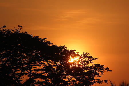Sunset Illustration thumbnail