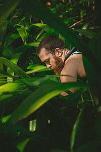 man near green leafed plants thumbnail