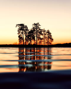 green leafed trees and body of water thumbnail